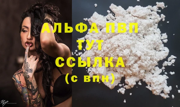 ECSTASY Медвежьегорск