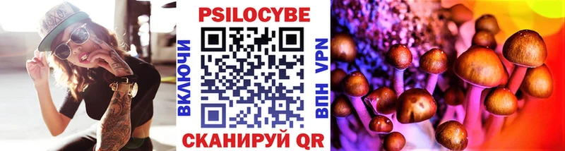 MEGA tor  Ефремов  Галлюциногенные грибы прущие грибы  что такое наркотик 
