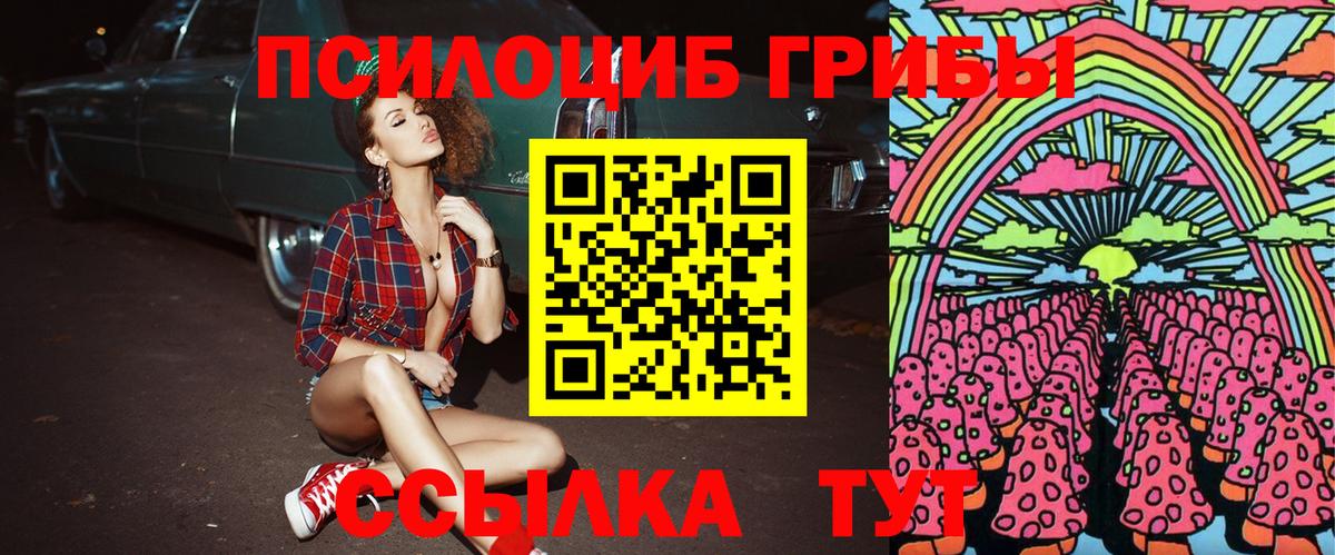 Галлюциногенные грибы прущие грибы Ефремов
