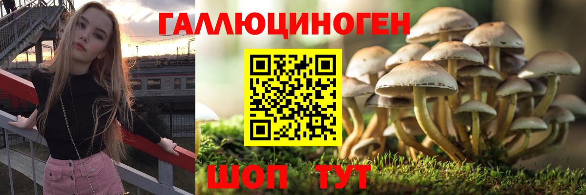 Ефремов  Псилоцибиновые грибы Psilocybe  Галлюциногенные грибы ЛСД  Вход с VPN 